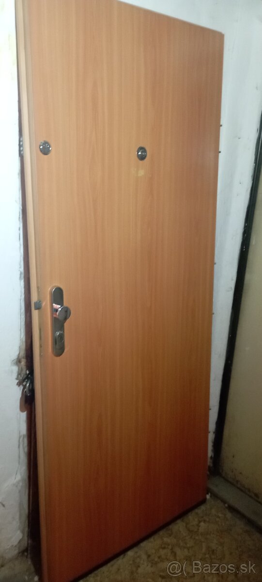 KVALITNÉ PANCIEROVÉ DVERE BCD1 - 7