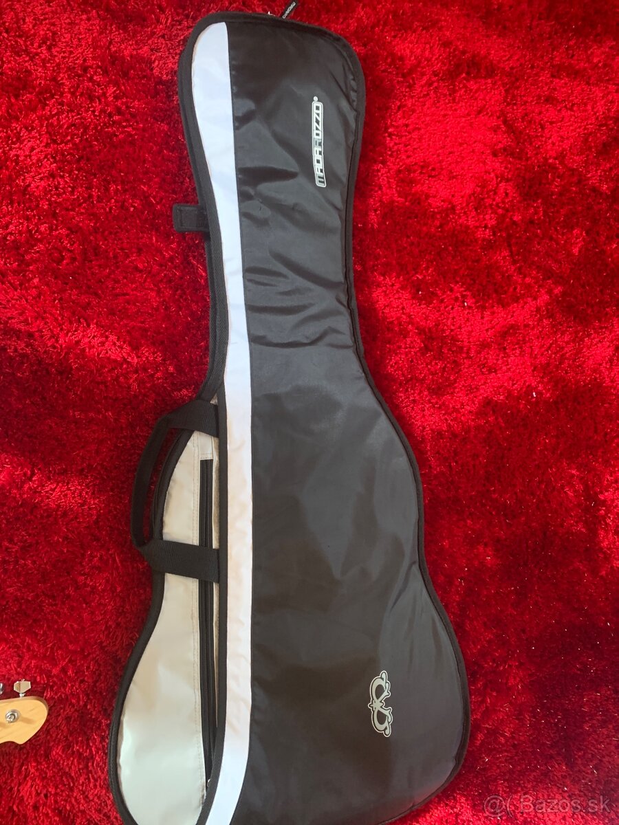 Elektrická Gitara stratocaster pasadena biela - 7