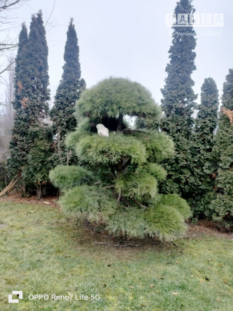 Výrazne znížená cena....Jedinečný rodinný dom v Šali/Veči - 7