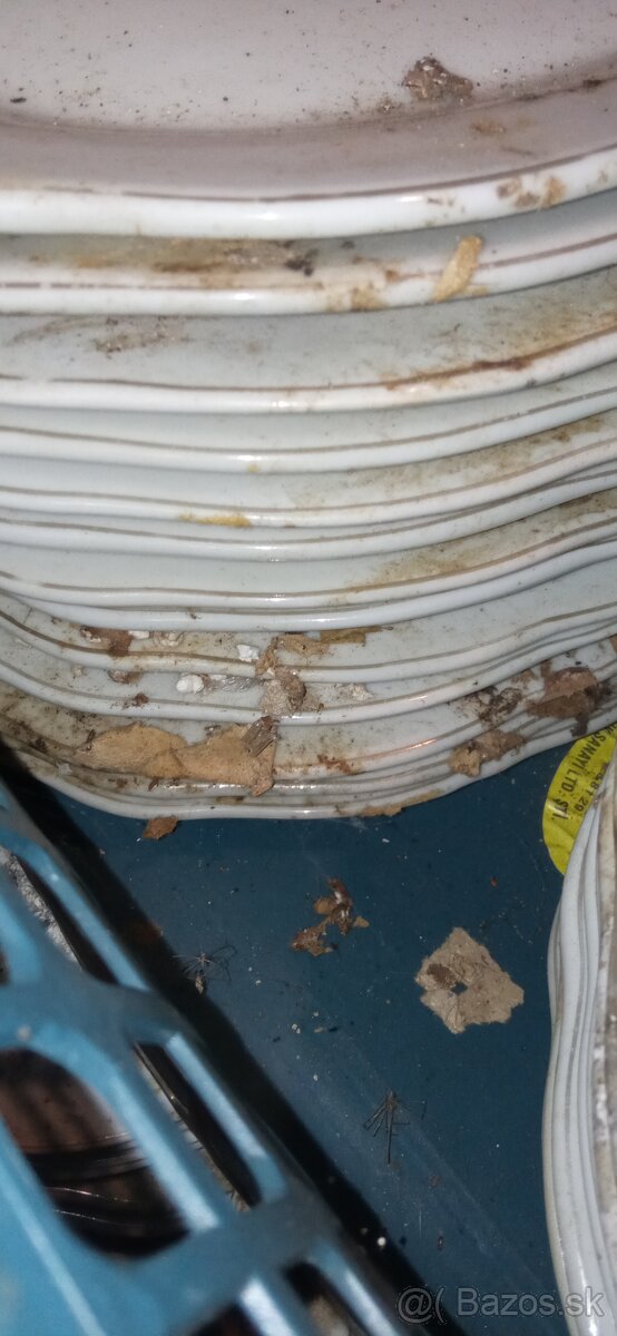 Predám biele taniere vhodné do reštaurácií ok.24cm - 7