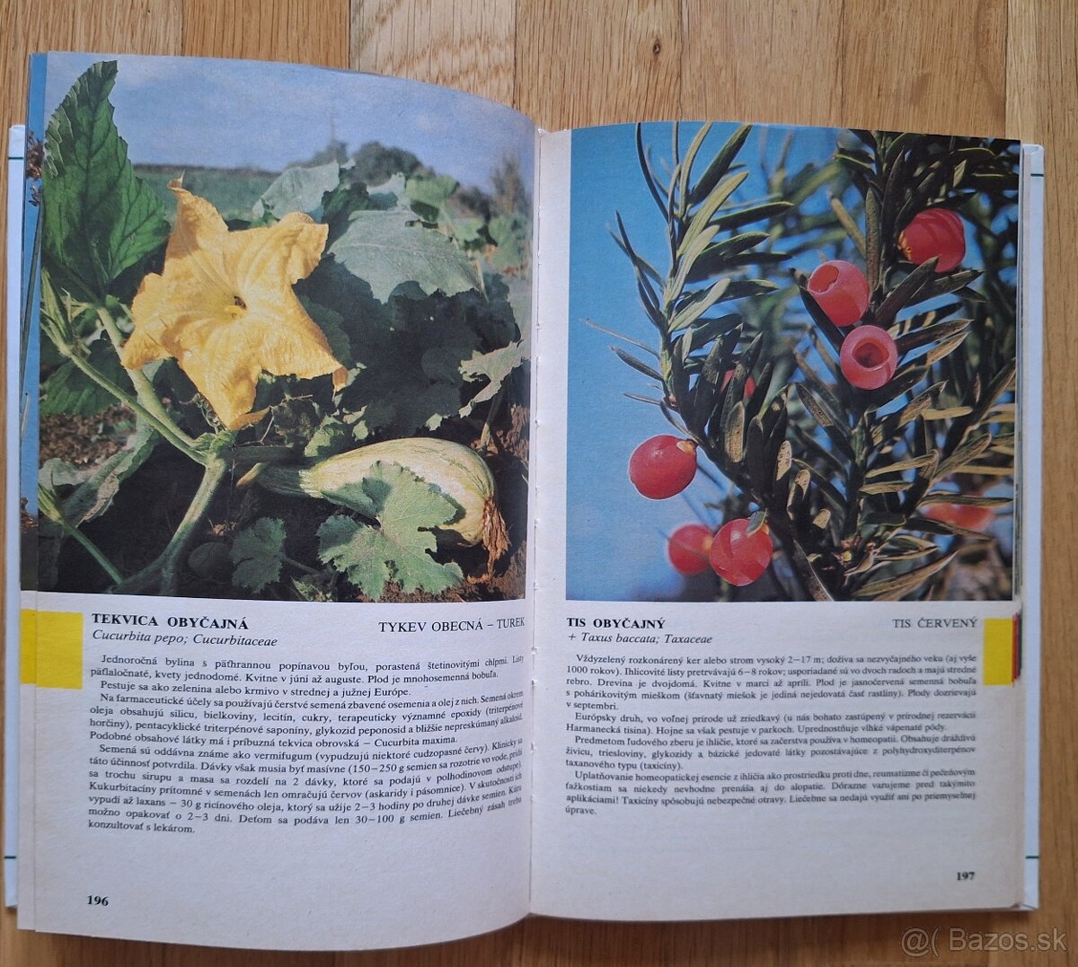 Prirucny atlas liecivych rastlin - 7