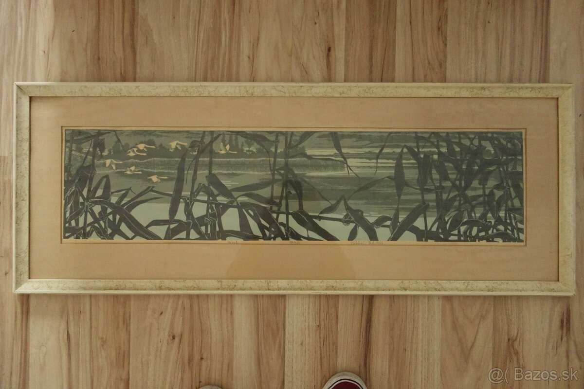 Obraz - Botanský - návrat - 7