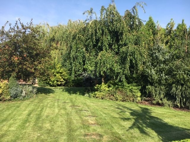 Dom s garážou na peknom rovinatom pozemku. - 7