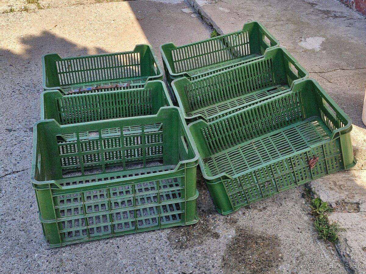 Prepravky na ovocie/zeleninu - POŠKODENÉ - 7