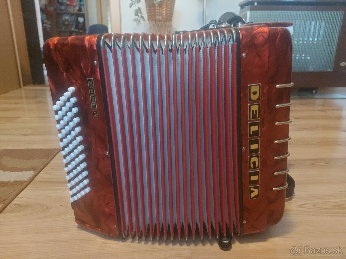 Harmonika Delicia Junior 4 - 7