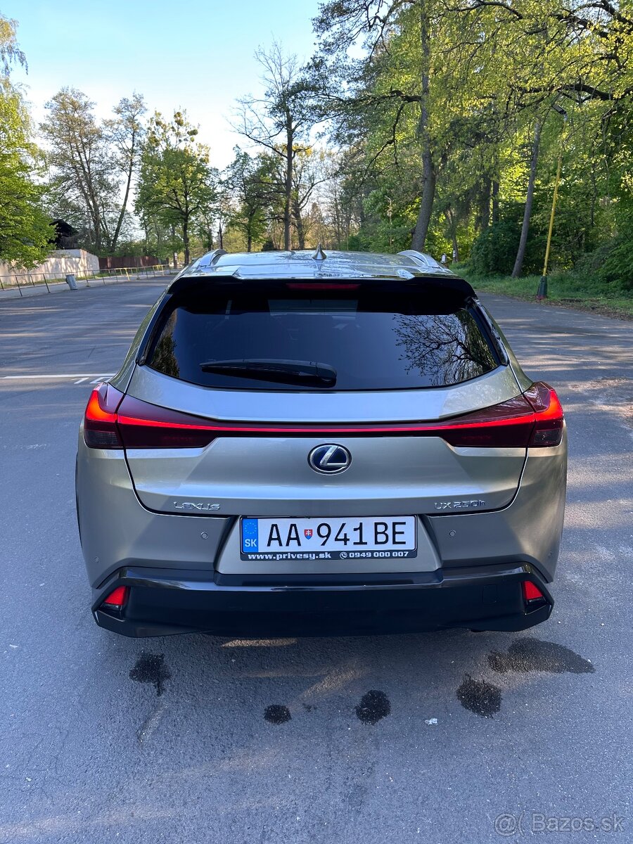 Lexus UX 250h, servis Lexus, predĺžená záruka - 7