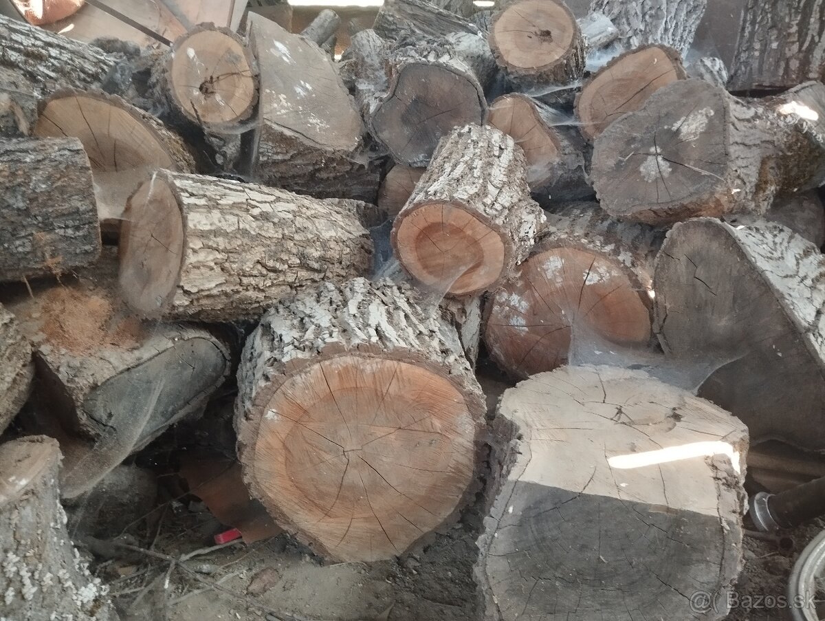 Orechové drevo-kmene palivové, kvalitné,už väčšie množstvo - 7