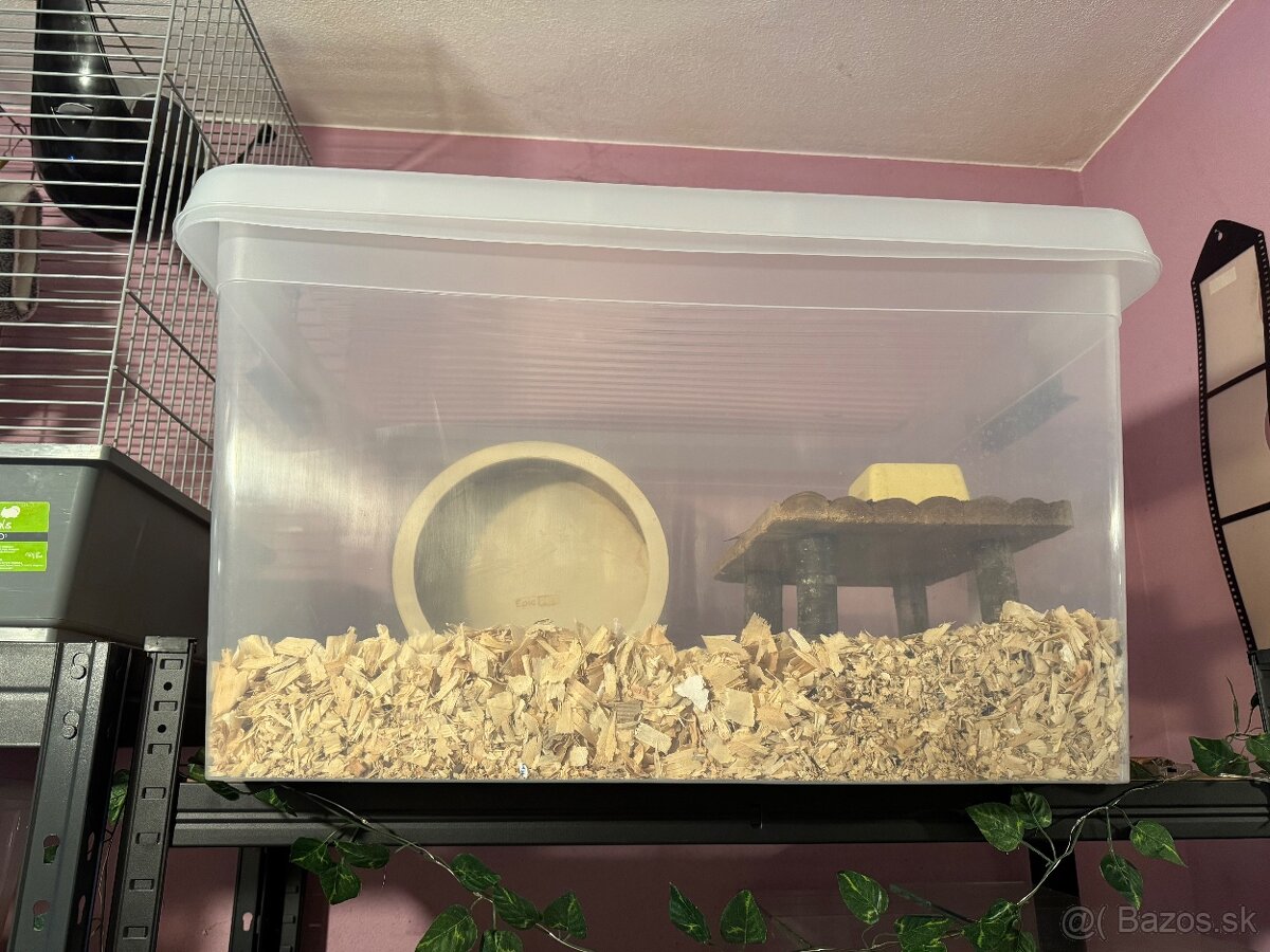 Sýrsky škrečok s PP + box a doplnky - 7