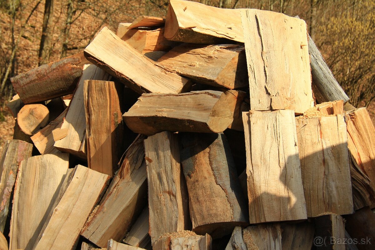 PALIVOVE DREVO BUK - 7