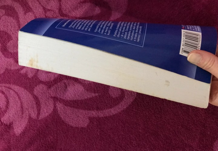 Nezaměstnanost psychologický, ekonomický a sociální problém - 7