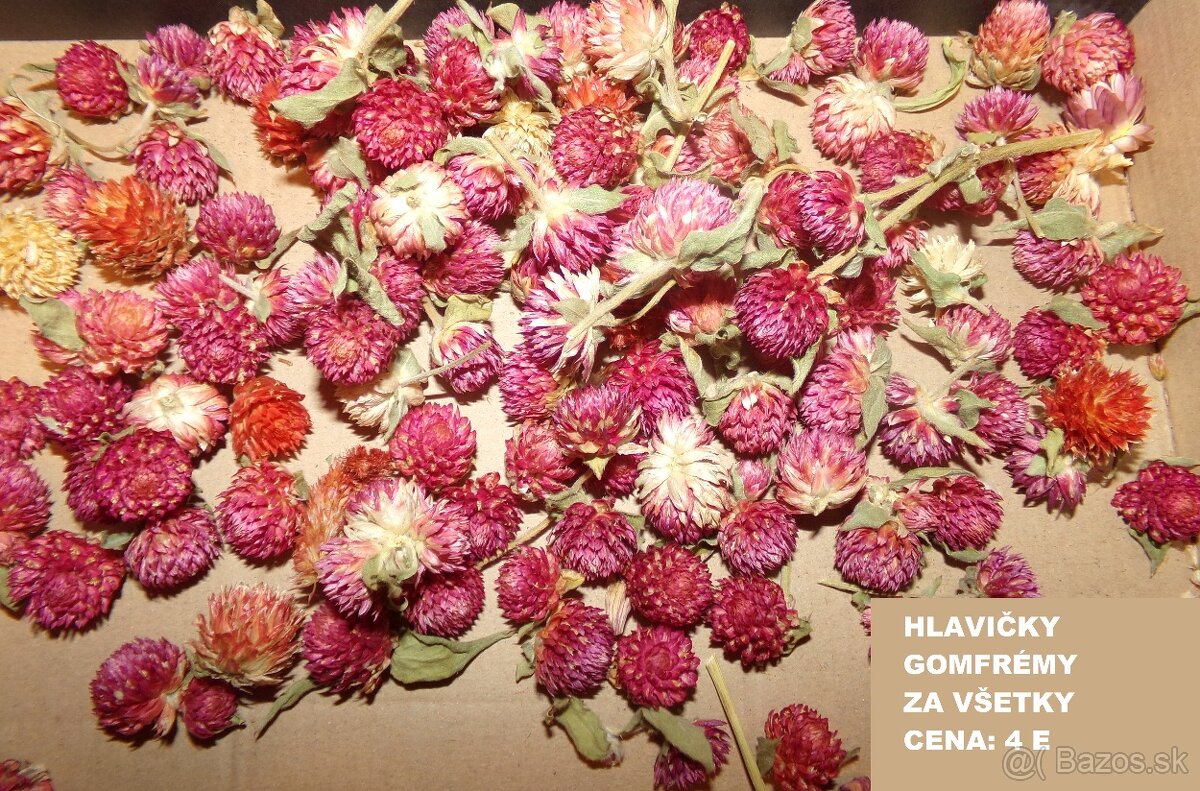 SUŠENÉ KVETY NA ĎALŠIU TVORBU - 7