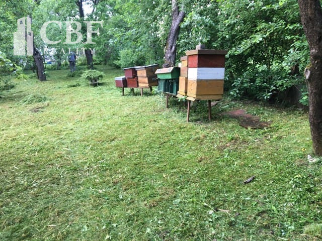 Na Predaj 2domie Gemera-jedno riešenie:Bývanie aj podnikanie - 7