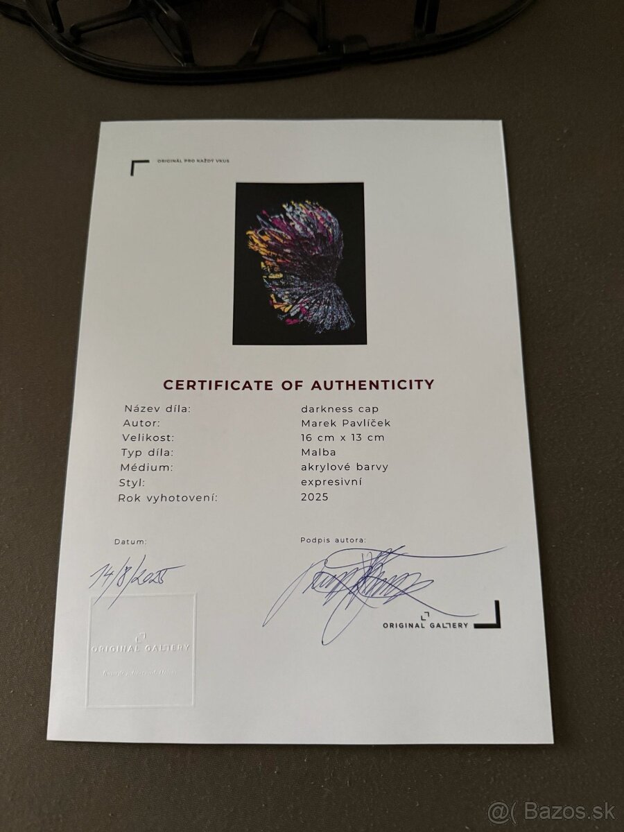 DARKNESS cap od maliara Mareka Pavlíčka s certifikátom pravo - 7