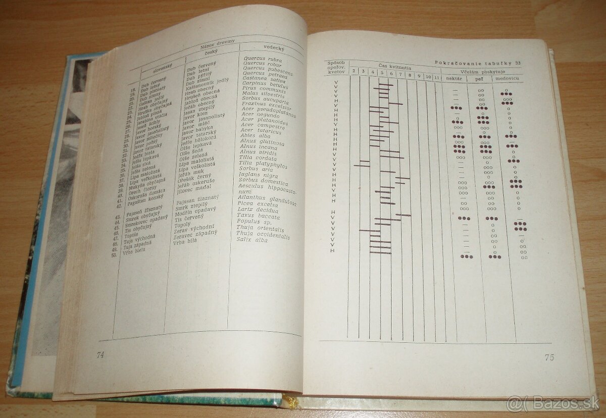 Kočovanie so včelstvami - 7