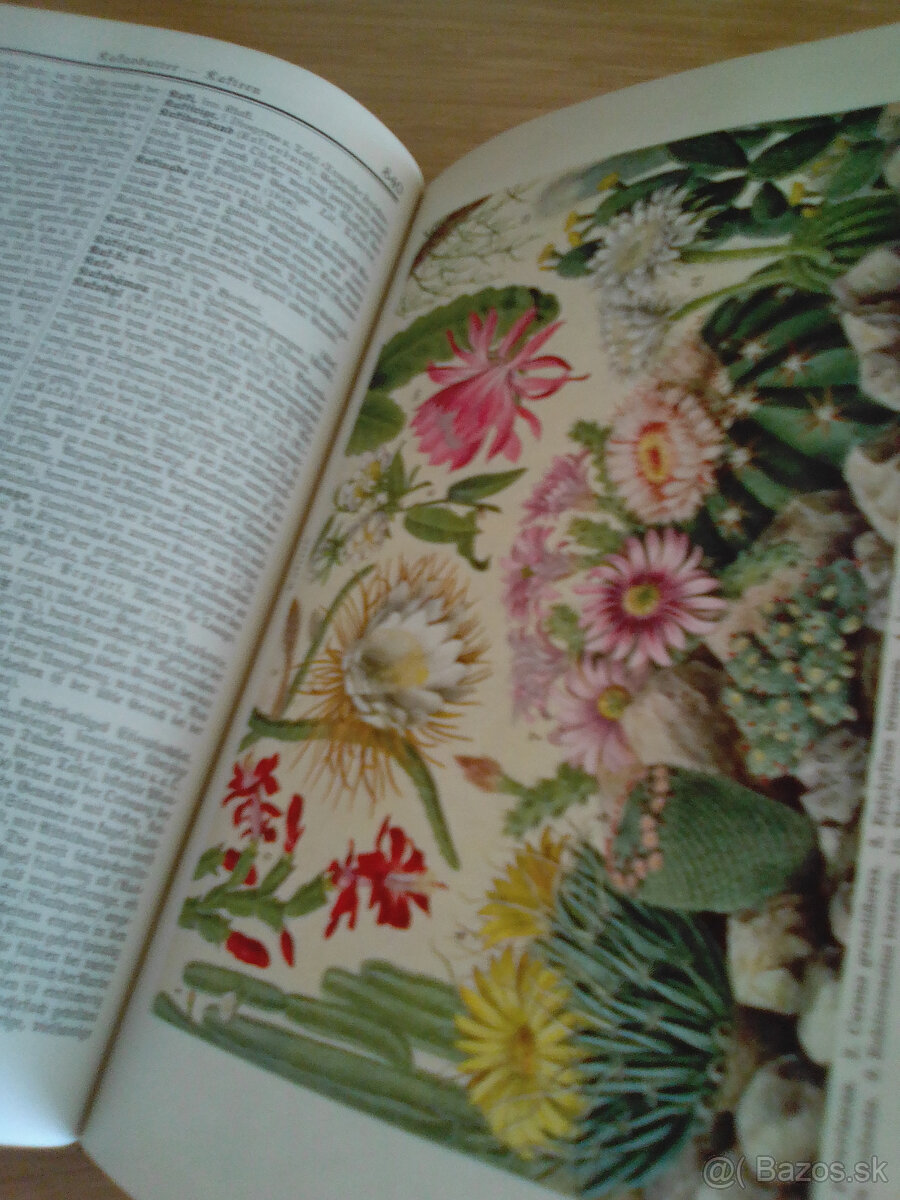 Der Grosse Brockhaus 1930 - 7