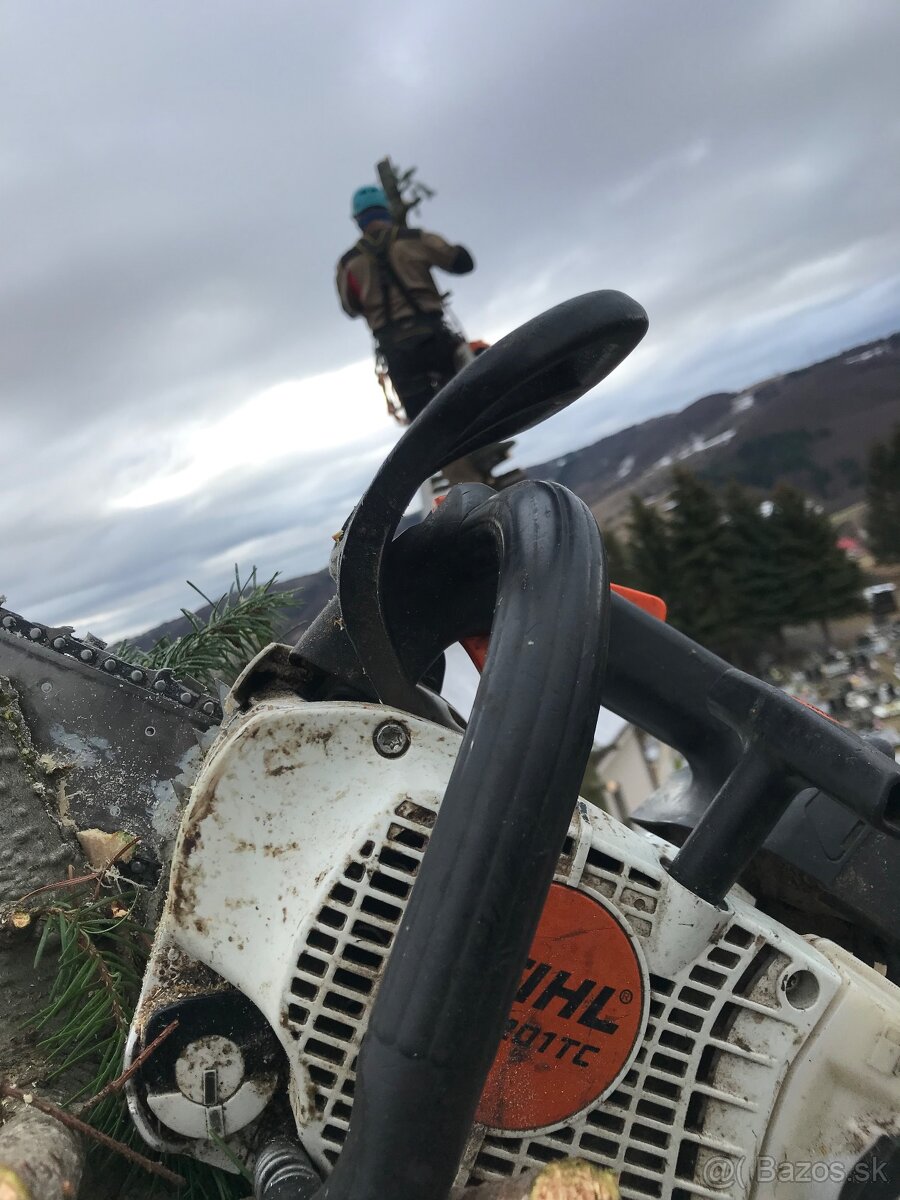 Pílenie stromov, arboristika, drtenie konárov - 7