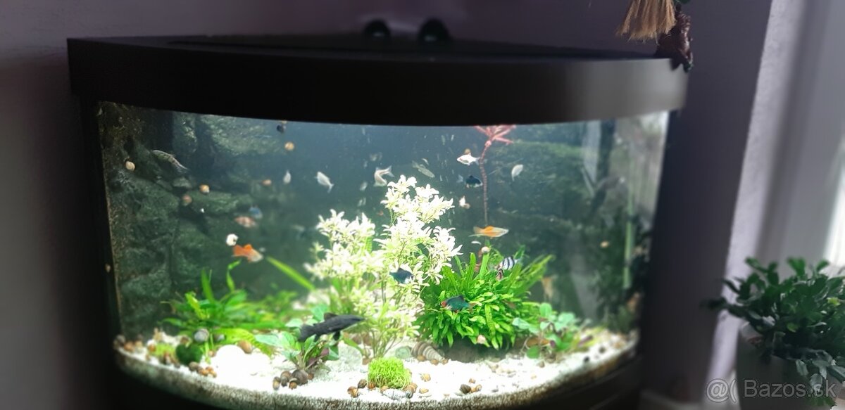 Akvárium Juwel 140 - 7