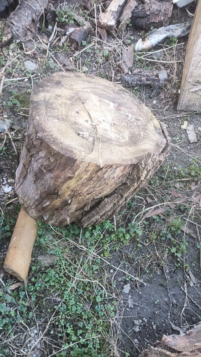 Darujem drevo - 7