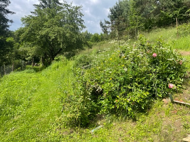 RD blízko centra Brezna - ideálny na chalupu - pozemok 3142 - 7