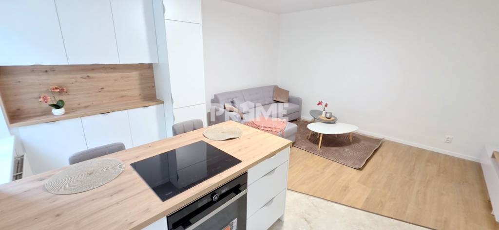 JEDINEČNÝ 2i byt, CENTRUM, REKONŠTRUKCIA, EUROVEA, Klemensov - 7