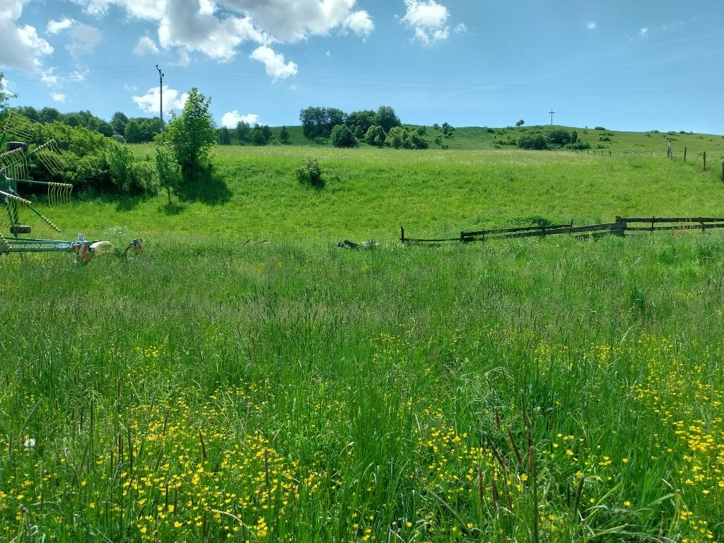 Predám pozemky v katastri Vojňany - 7