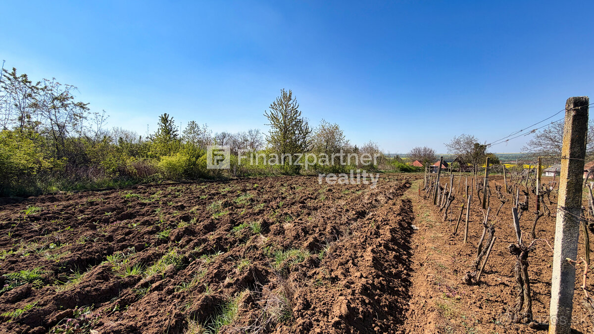 Záhrada 2190 m², Čechynce, Nitra - 7