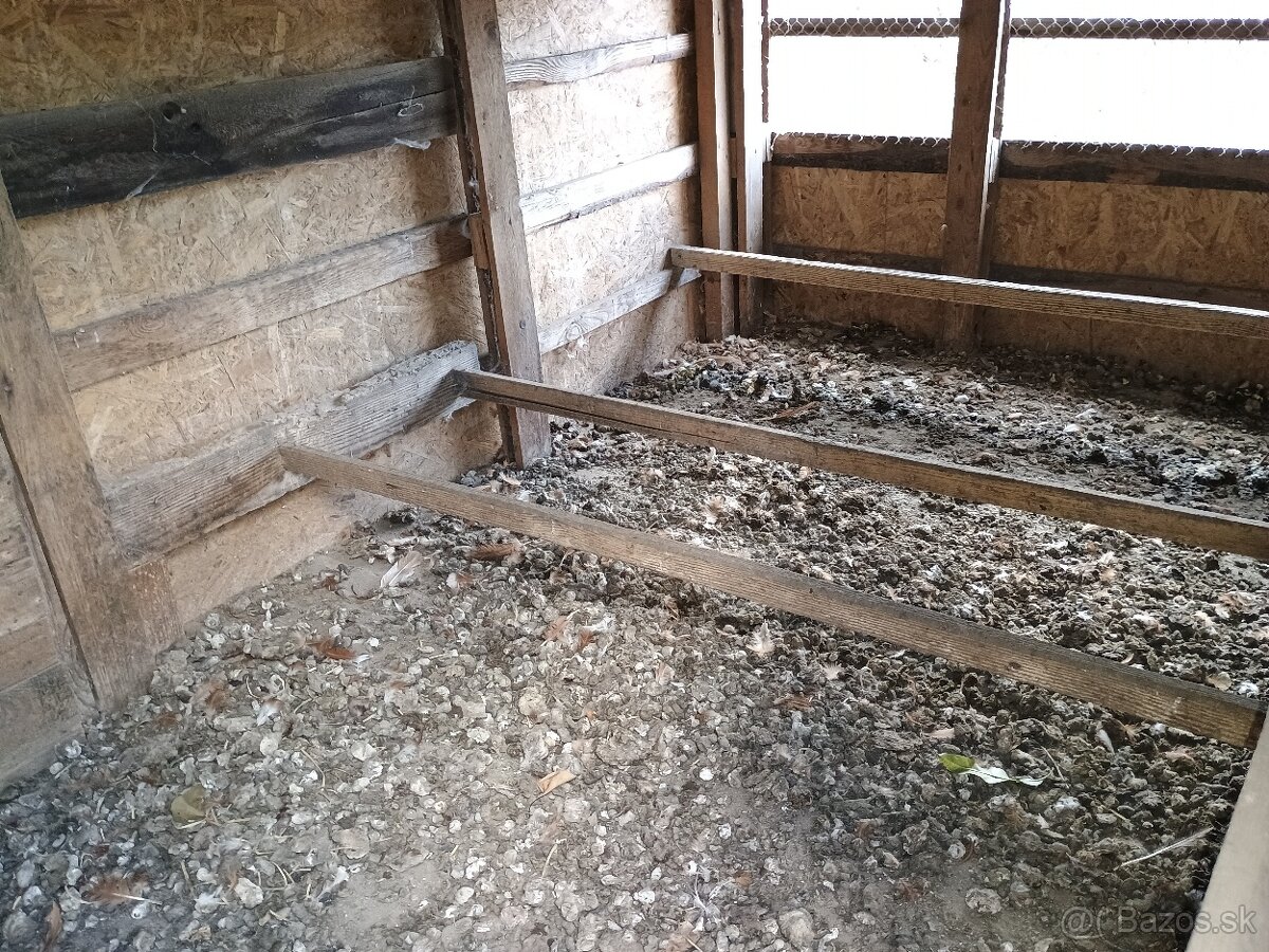 Predám kurín - 7