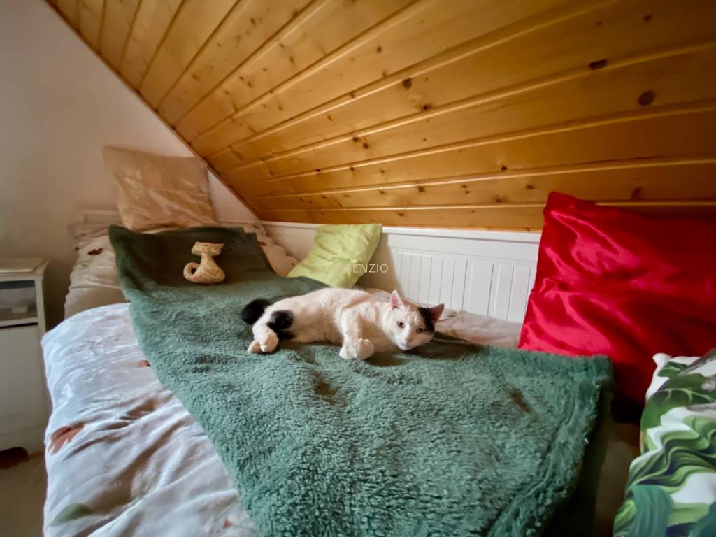 ASSENZIO -PREDAJ- ZREKONŠTRUOVANÝ ZÁHRADNÝ DOMČEK (rozloha a - 7