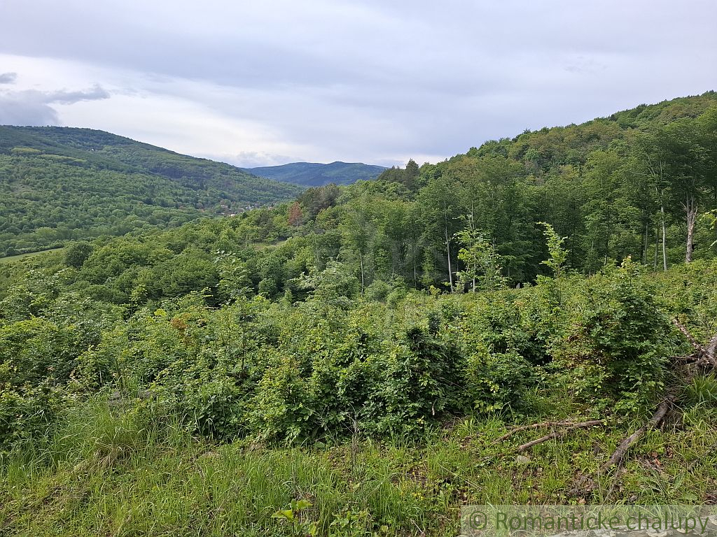 NOVÁ CENA Rozsiahle lesné pozemky v Podpoľaní - 7