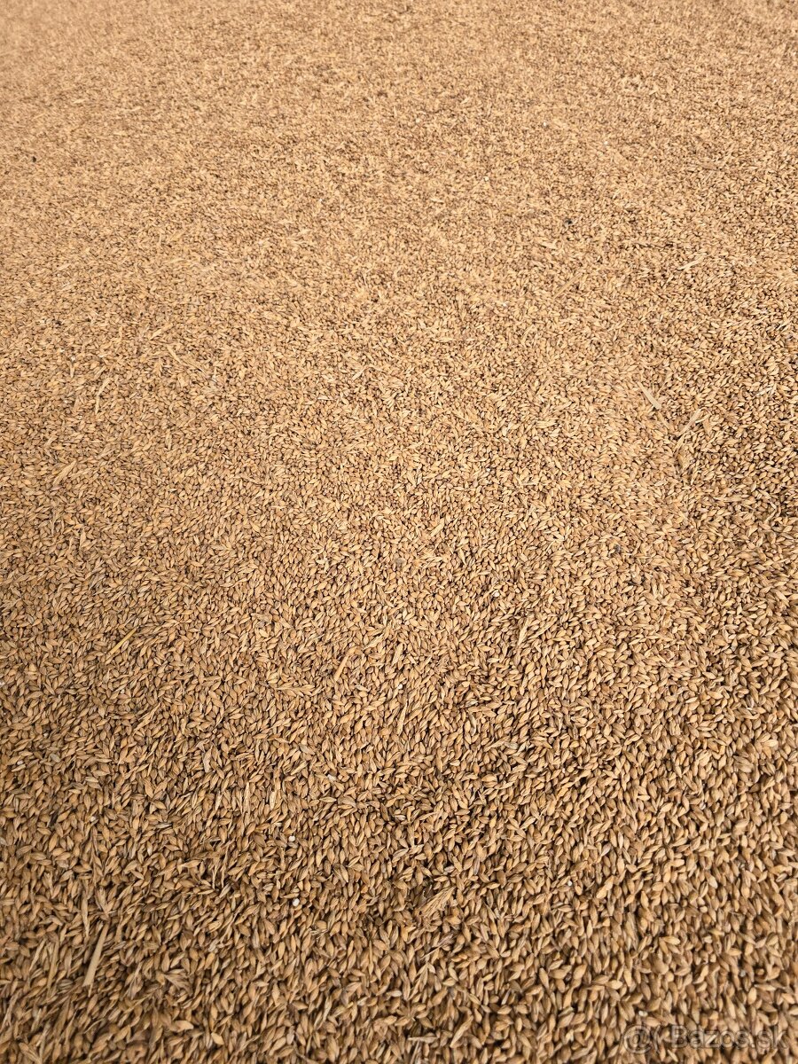 Kompletné kŕmne zmesy pod jednou strechou - 7