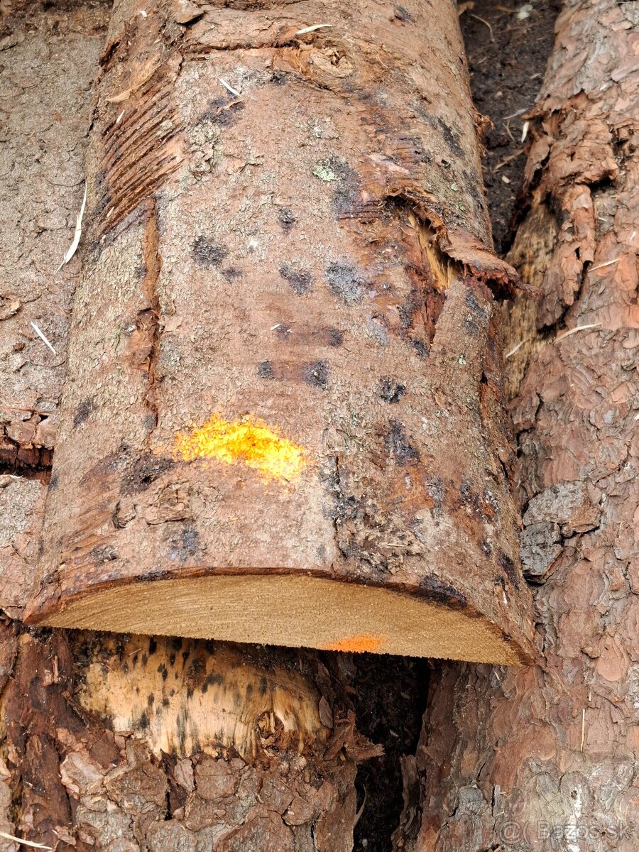 smrekove krajnice obklad palivo - 7