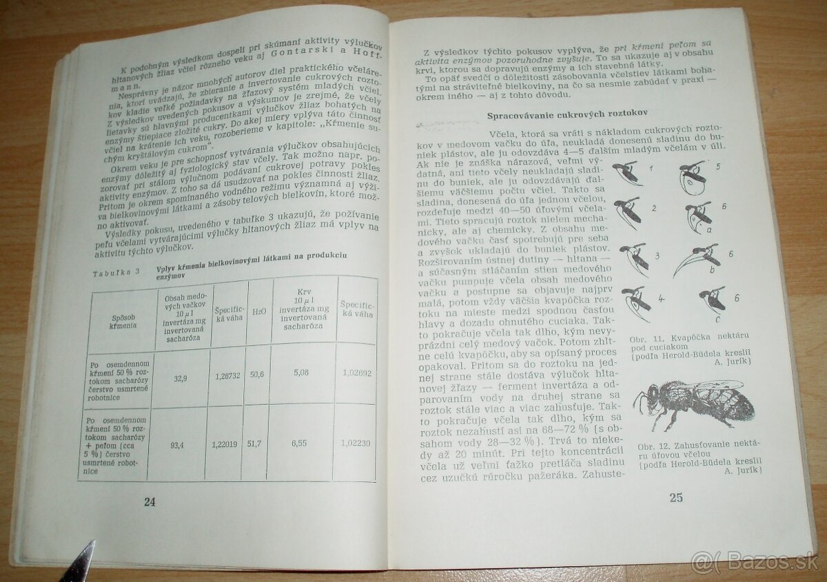 Výživa a kŕmenie včelstiev - 7
