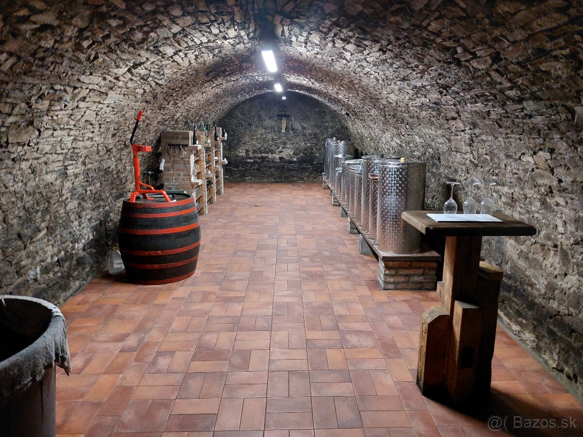 Na predaj vinohradnícka usadlosť v Skalici - 7