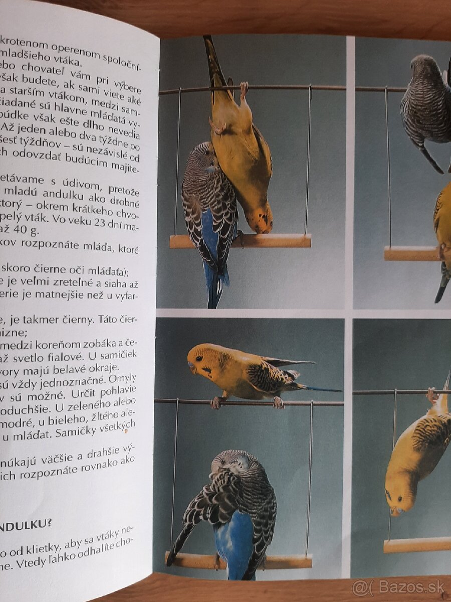 Jules Verne a iné - 7