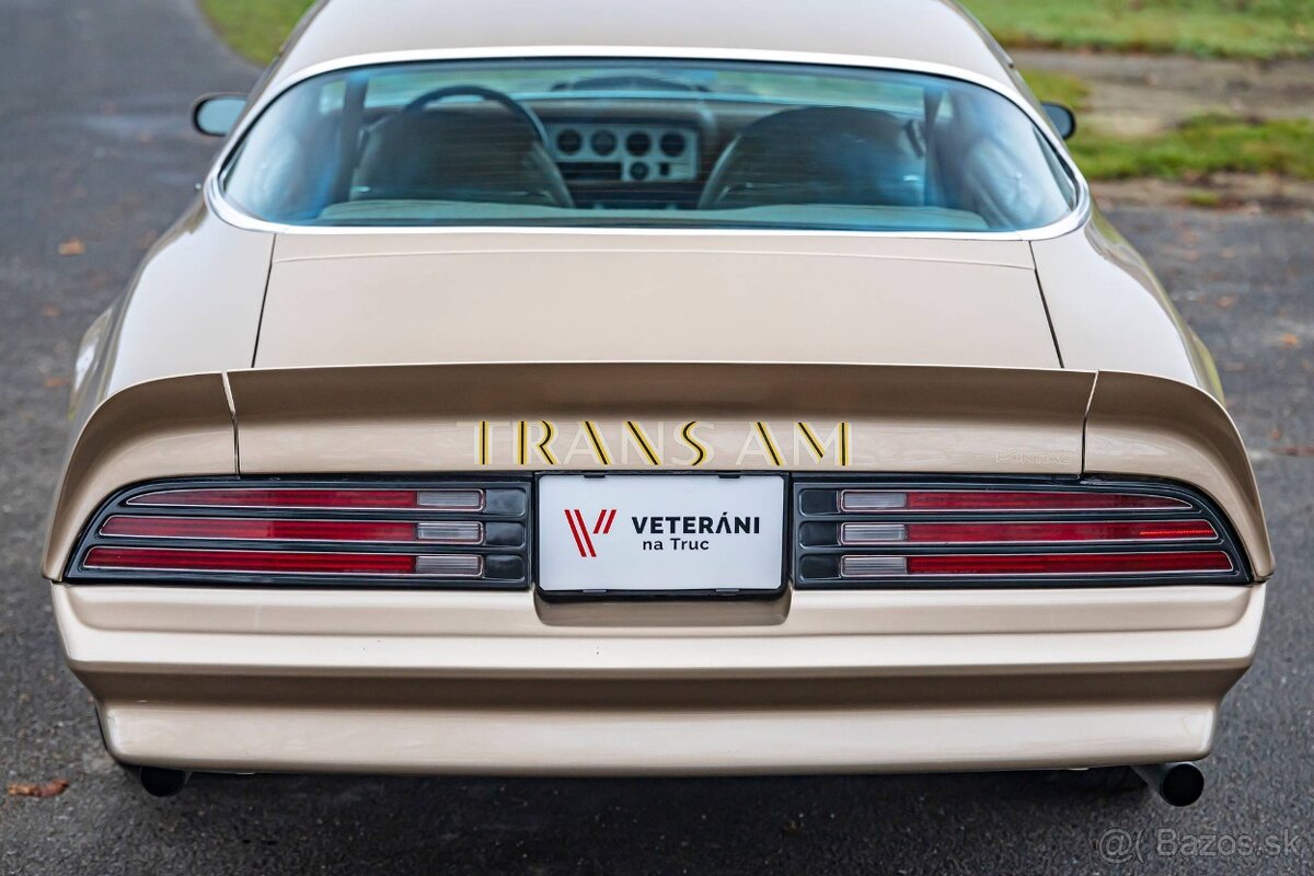Pontiac Firebird 1977 - 7