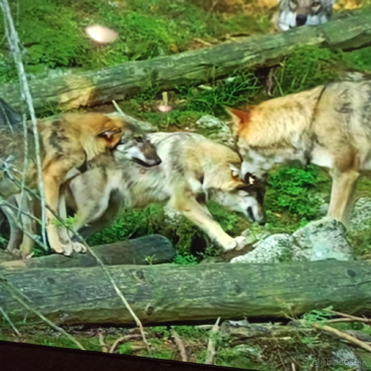 Samsung led tv (165cm)UE65CU7172U - 7