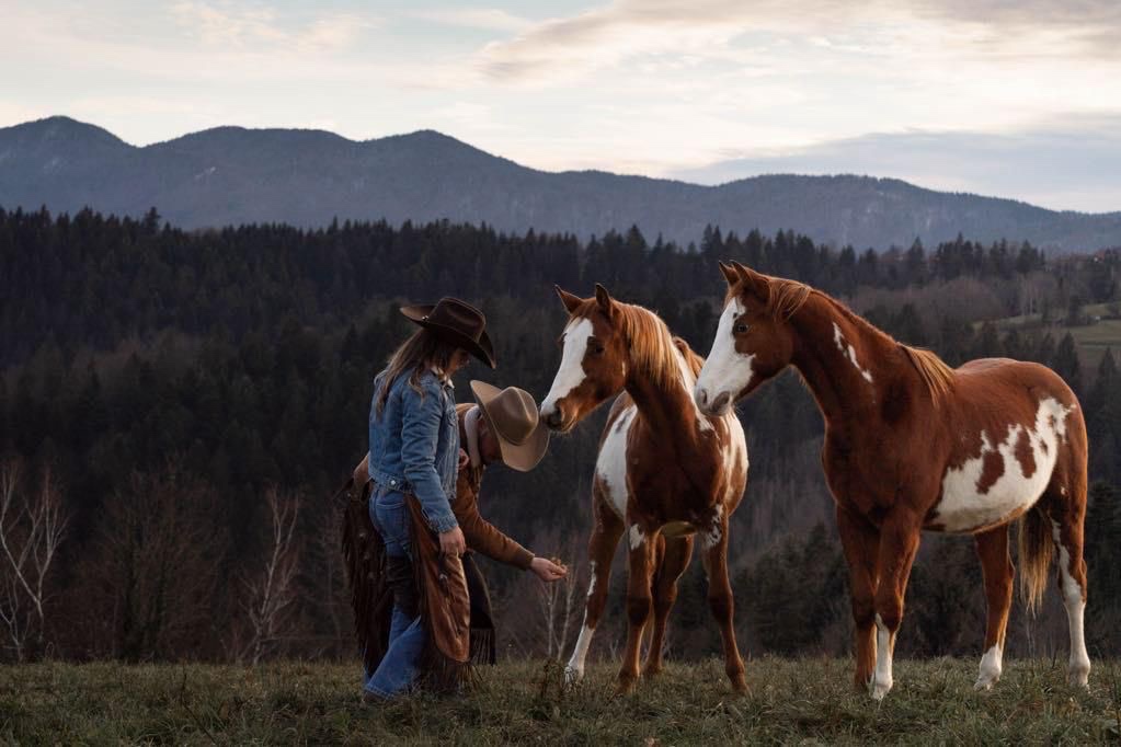 Pripúšťanie APH žrebcom - 7