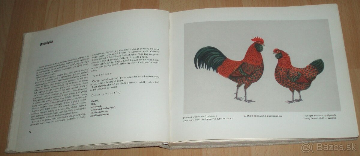 Atlas plemien hydiny - 7
