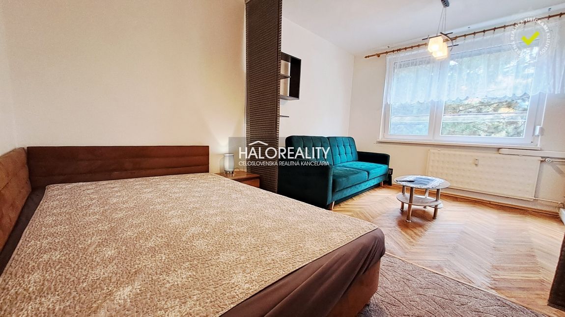 HALO reality - Predaj, jednoizbový byt Partizánske, Luhy, AK - 7