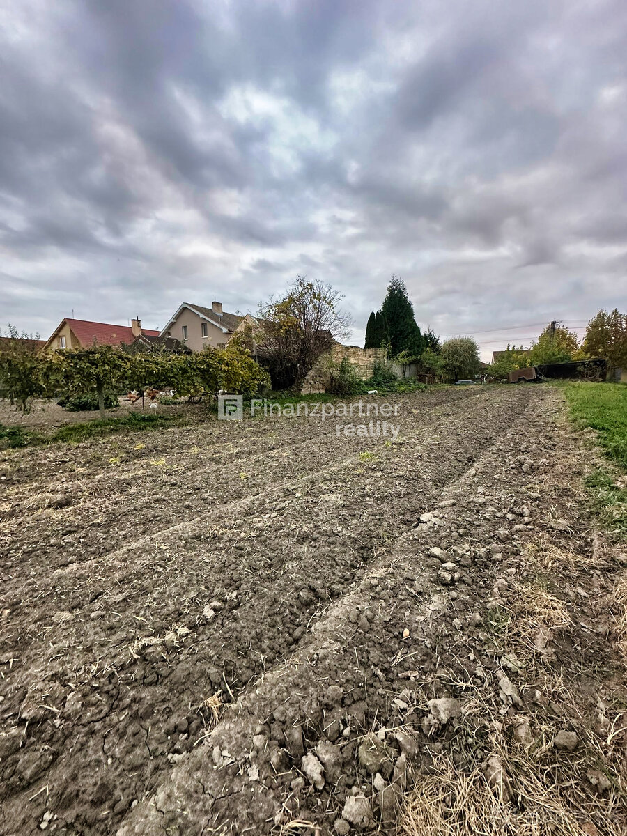 Stavebný pozemok 4702 m² v obci Trstice, Galanta - 7