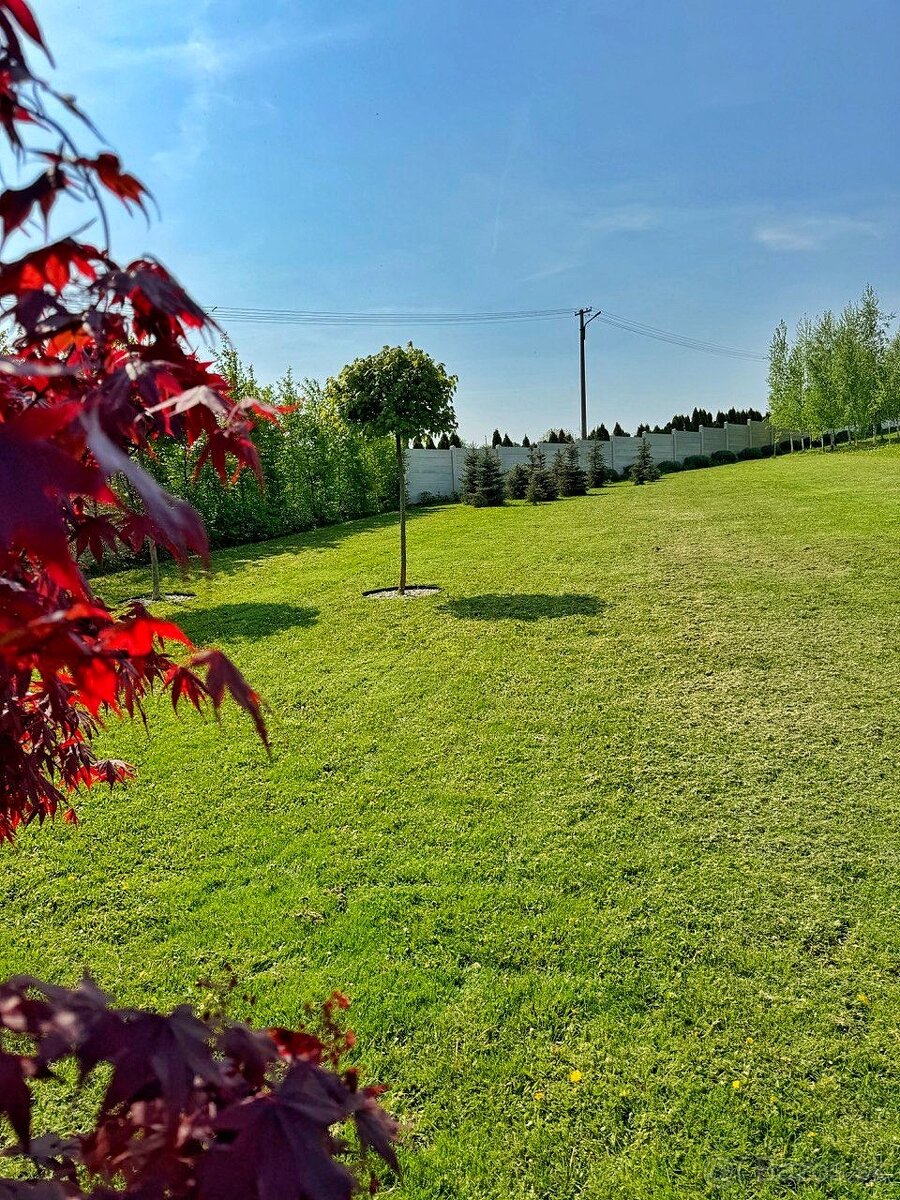 VRÁBLE - rodinný dom s pozemkom 2000 m2 - 7