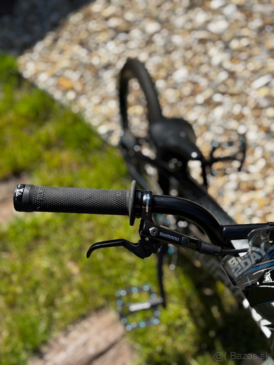 Sunn Royal Finest - 7