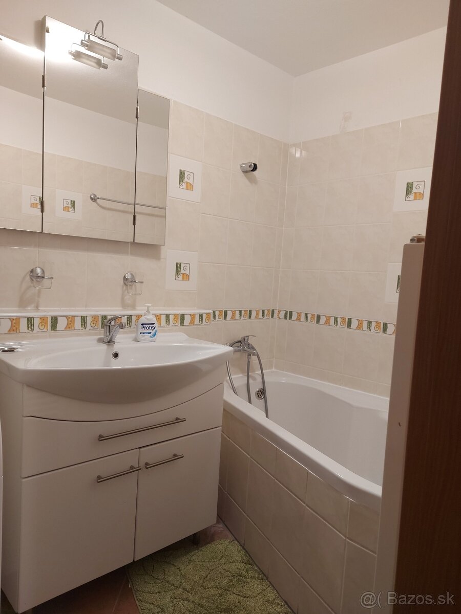 VEĽKÁ IZBA s vysokým stropom - 7