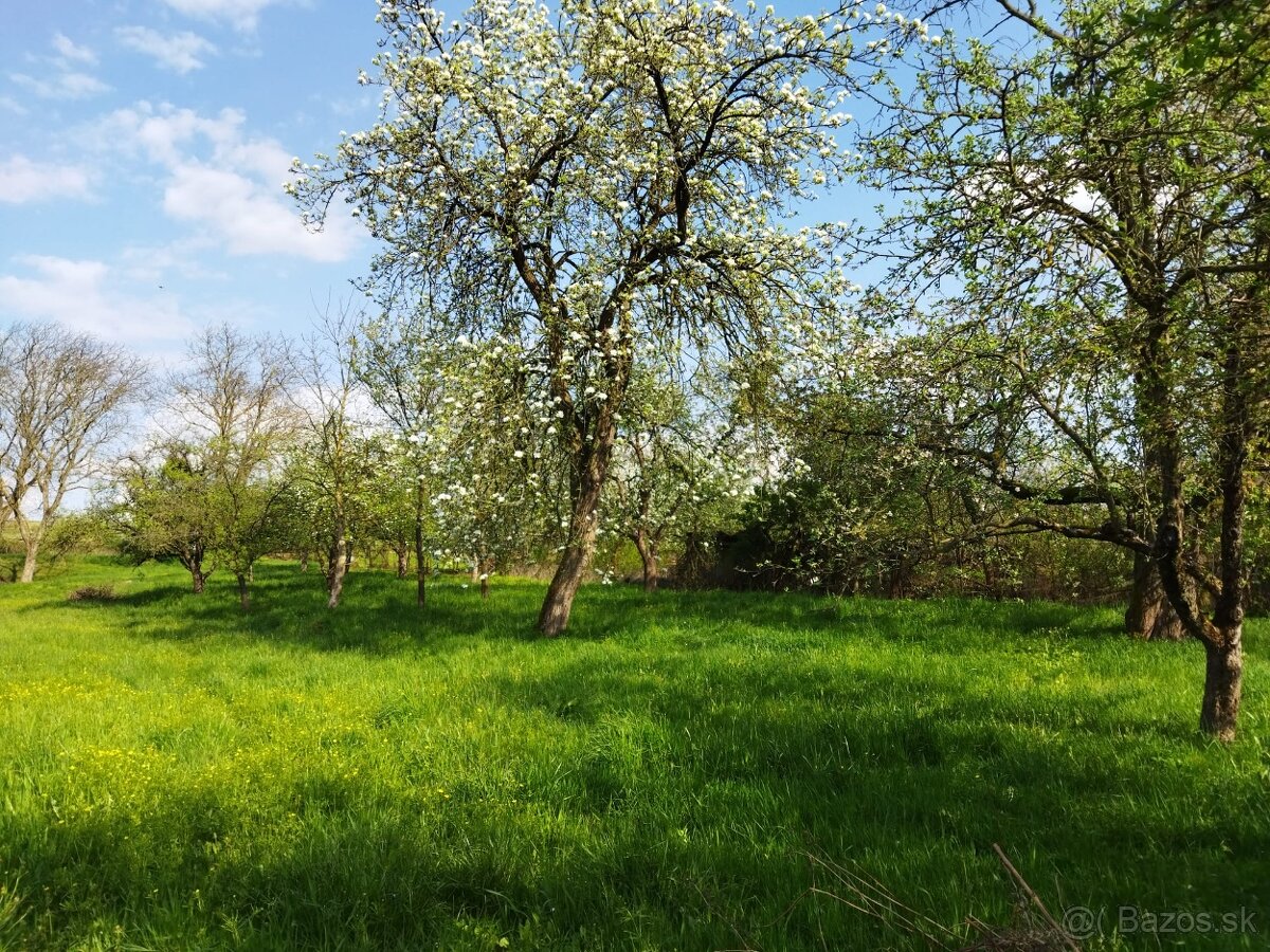 Rodinný dom v Nižnom Hrušove - 7