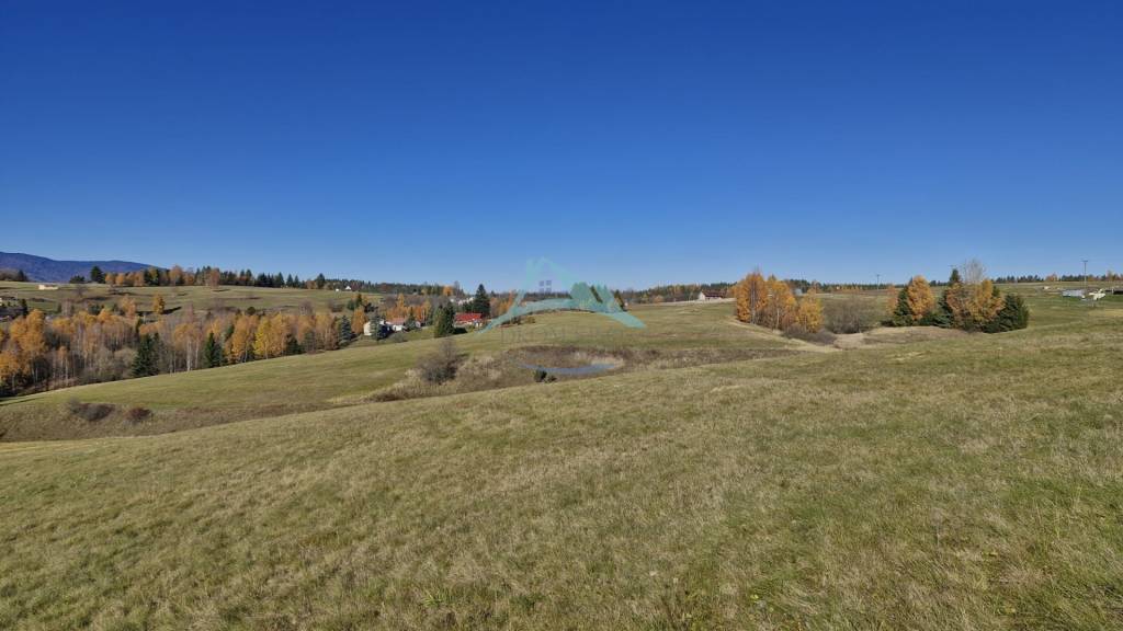 Pozemok (7750m2) s výhľadom na Nízke Tatry v obci Detvianska - 7