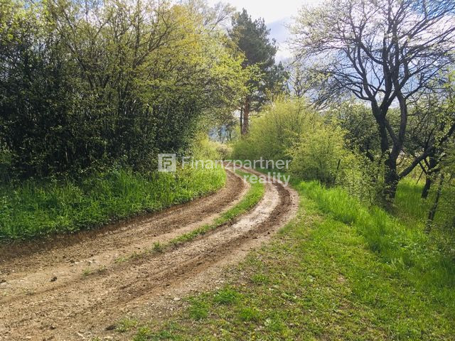 Romantický 900m2 pozemok v Prešove aj s prístupovou cestou ( - 7