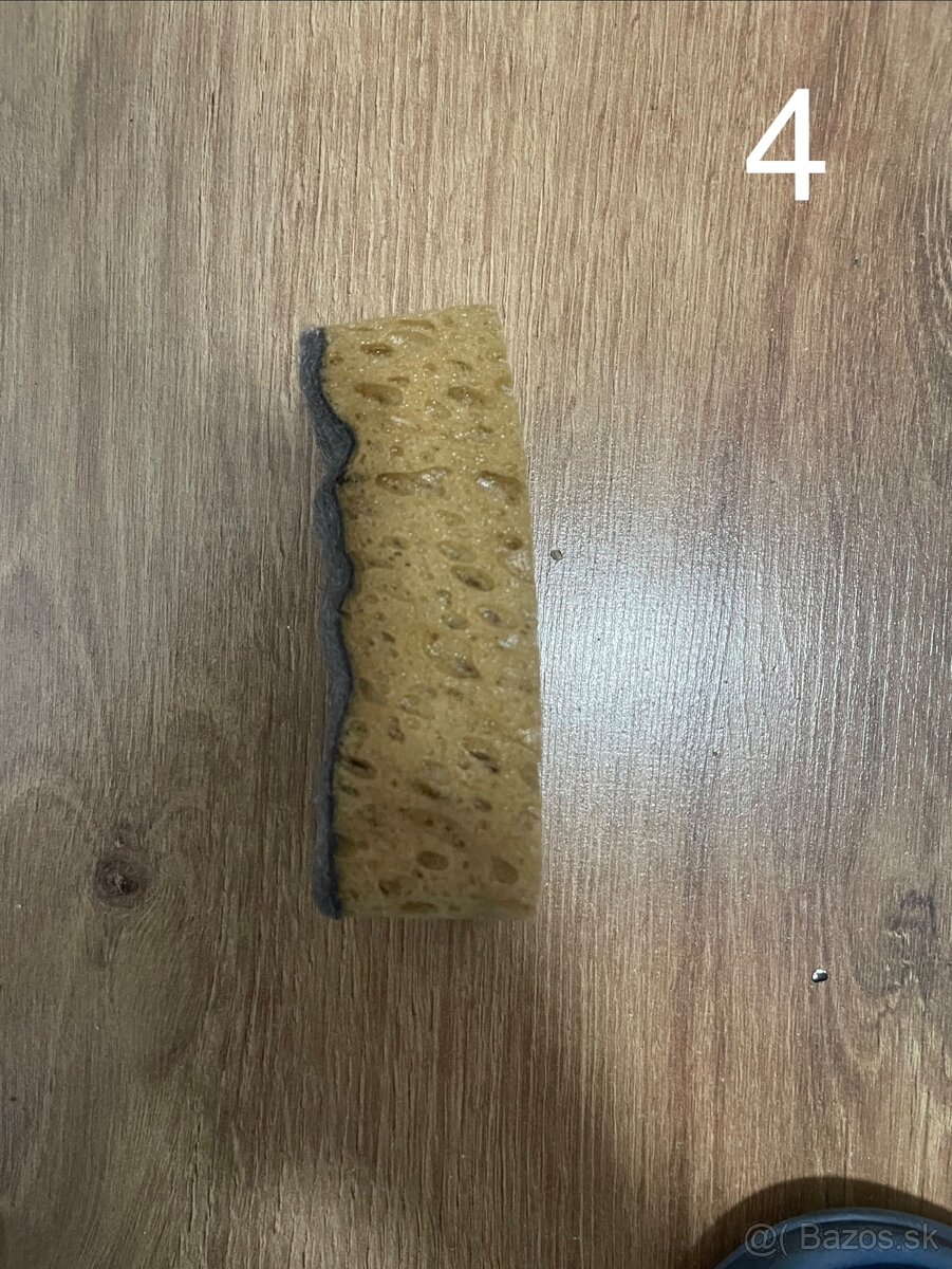 pozostatky z akvaria - 7