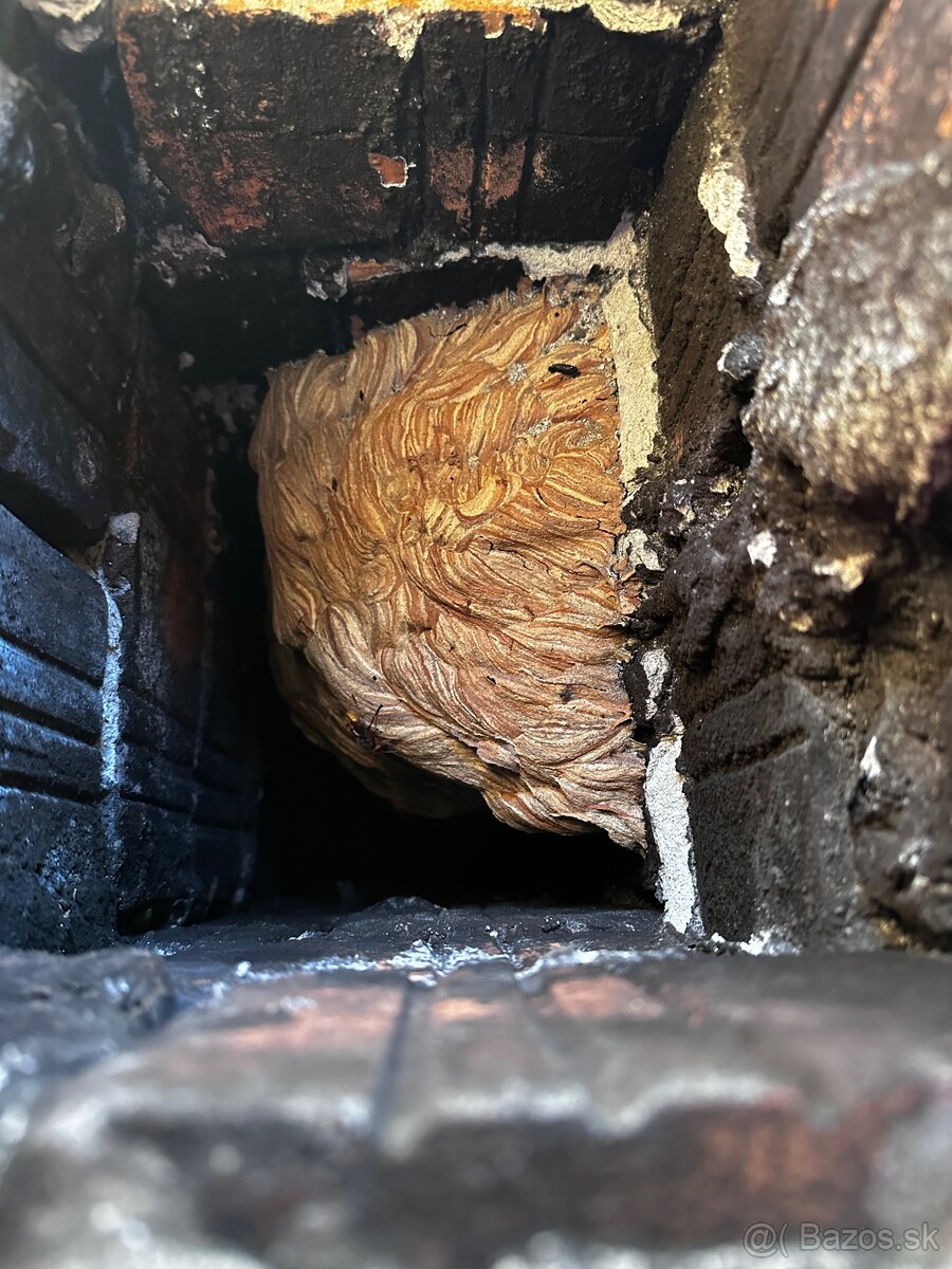 DERATIZÁCIA, DEZINFEKCIA, DEZINSEKCIA - 7