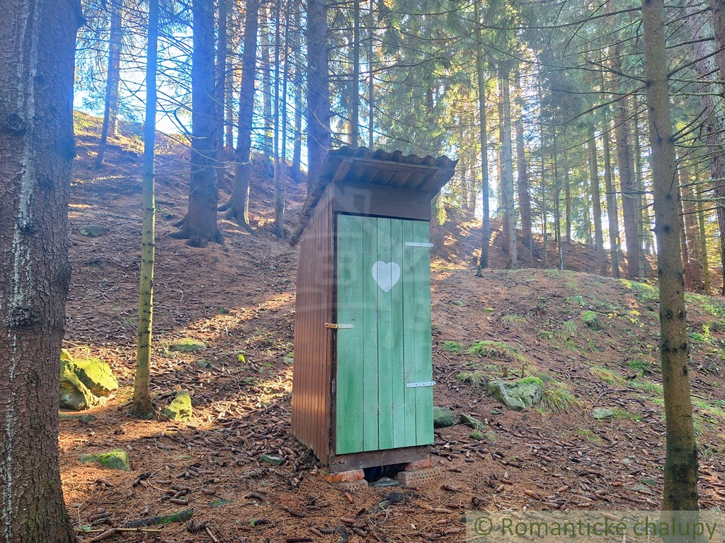 Chata v Studenej doline na vlastnom pozemku s vodou a elek - 7