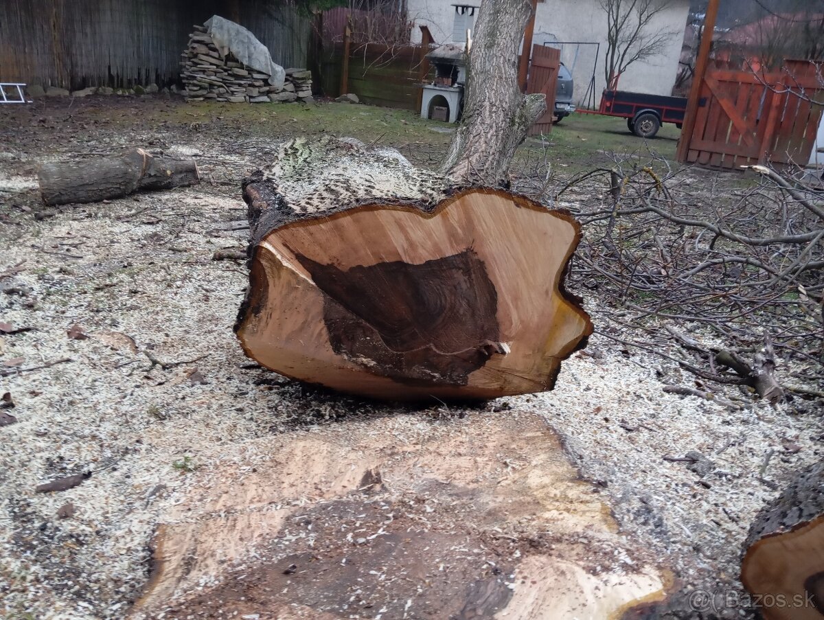 Predám orechové drevo - 7